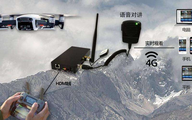 WhatsApp为什么不能传图片？图片传输问题分析与解决