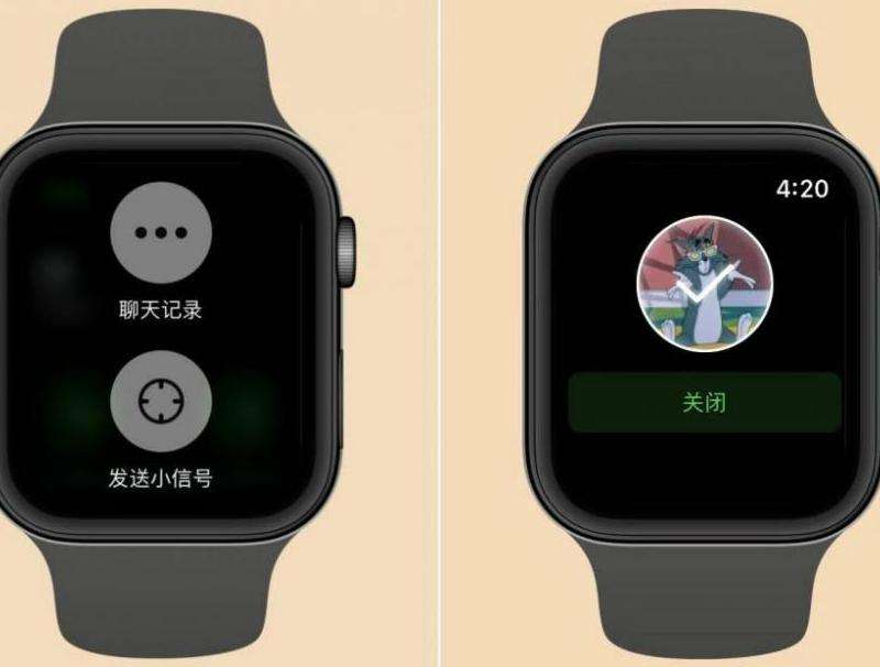 WhatsApp为什么不能发送语音？语音发送异常解决技巧