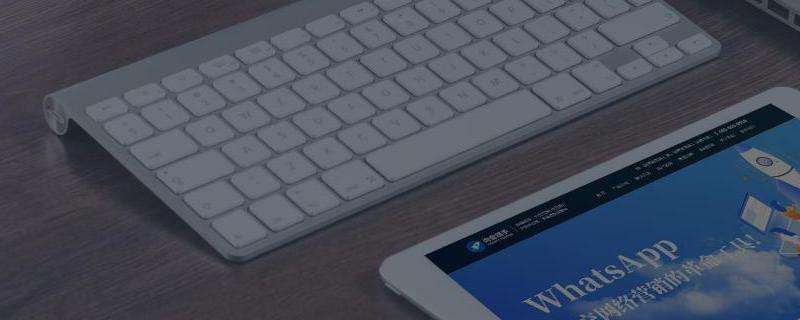 WhatsApp下载注册教程