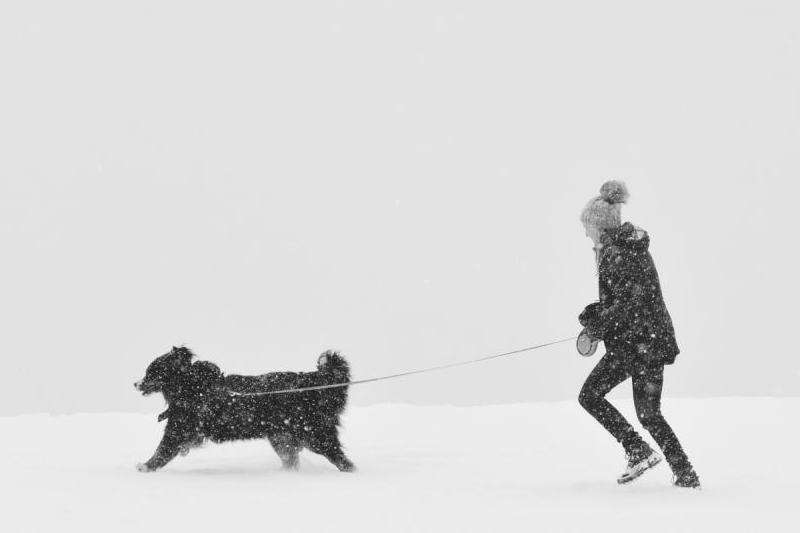 WhatsApp为何一个勾